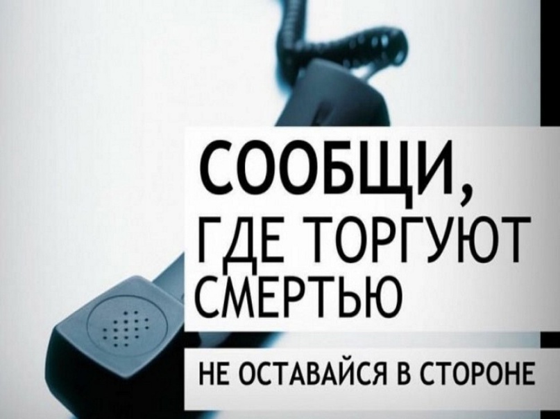 Акции &amp;quot;Сообщи, где торгуют смертью!&amp;quot;.